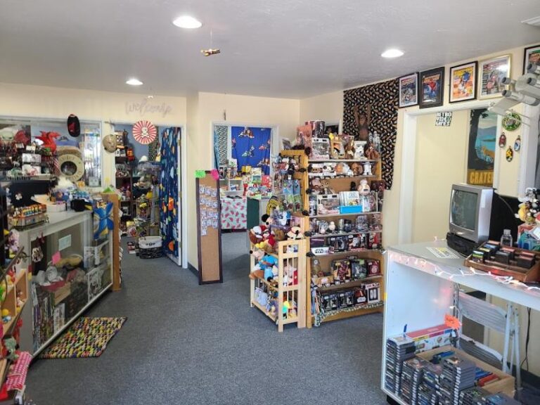 bricks joysticks albany 97322 768x576