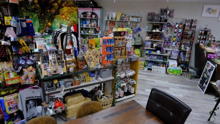 conworlds emporium palm harbor 34689 768x433