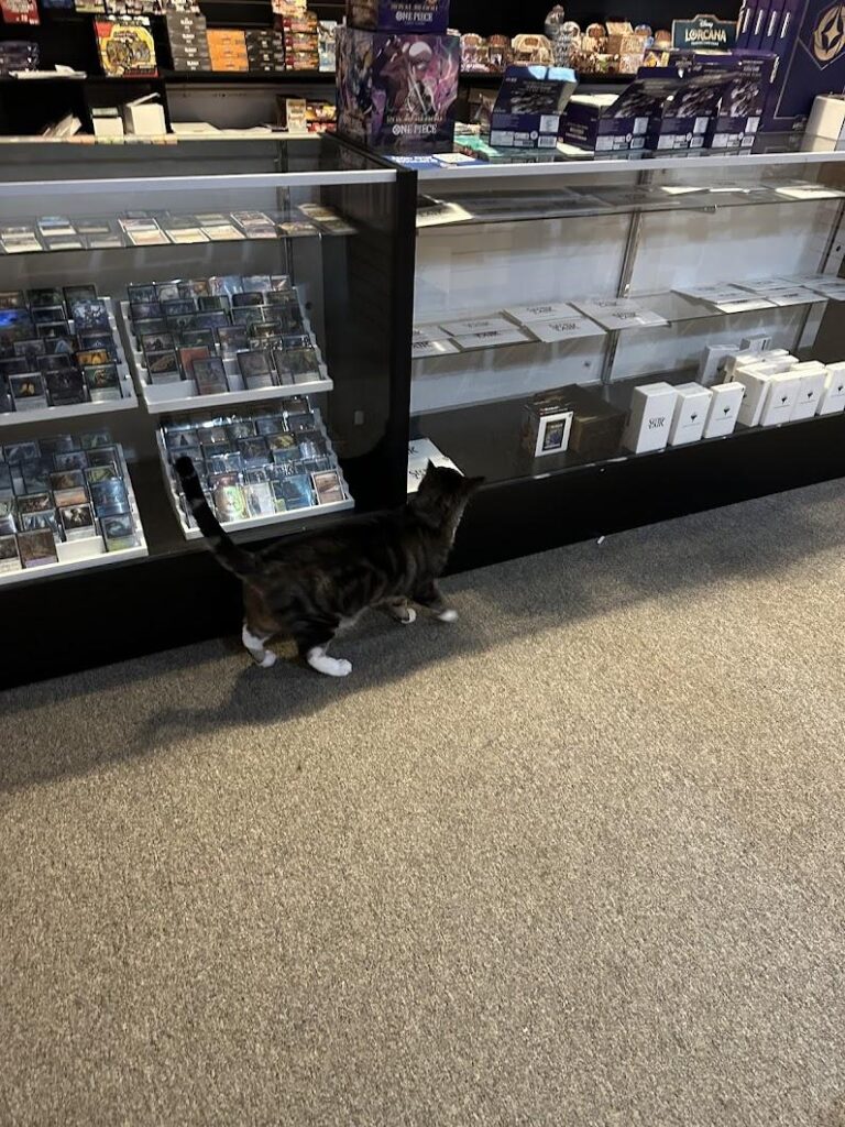 gravity games huntsville 35805 768x1024