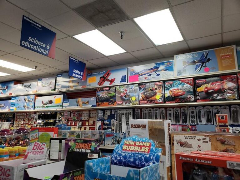 hobbytown brandon 33511 768x576