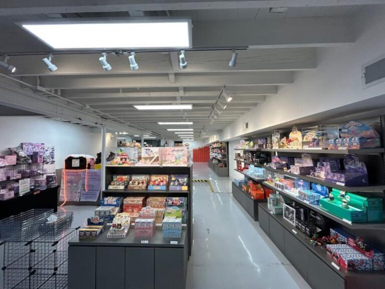 kouhigh toys los angeles 90046 768x576