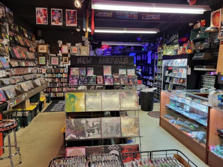 ratnest chino 12345 2 768x576