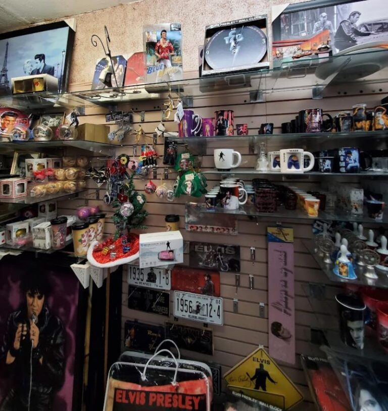 southern magnolia jackson 38305 768x813