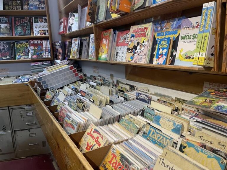 the million year picnic cambridge 2138 2 768x576