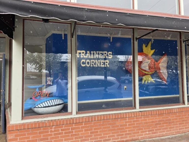 trainers corner llc pueblo 81003 768x576